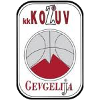 https://img.zdzly.com/img/basketball/team/4b06fe02aaa7da5901e5698485059da0.png