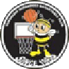 https://img.zdzly.com/img/basketball/team/e416830f4083698237c559f8988ddb25.png