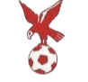 https://img.zdzly.com/img/football/team/4802d26df935b78bb2fcdbbff36e8864.png