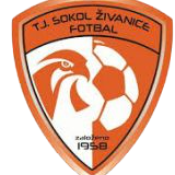 https://img.zdzly.com/img/football/team/5477d301041e00b2de35d5eeea2fabb4.png