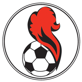 https://img.zdzly.com/img/football/team/5541e5015258ae82b121480f4164267d.png