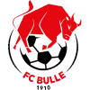 https://img.zdzly.com/img/football/team/b201265fa89720bf8cd8ef95549a4738.png