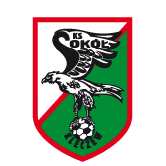 https://img.zdzly.com/img/football/team/e6a8908dd206e2ea02d9803c82c60bba.png